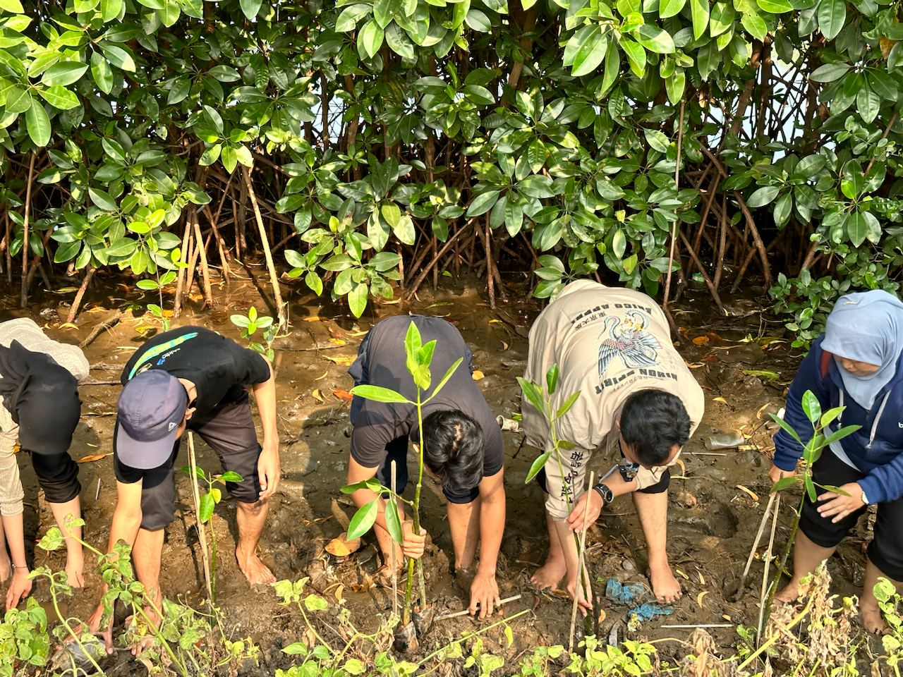 Hari Remaja Internasional 2023, GEN RESIK Hadir Untuk Melakukan Aksi Peduli Mangrove!